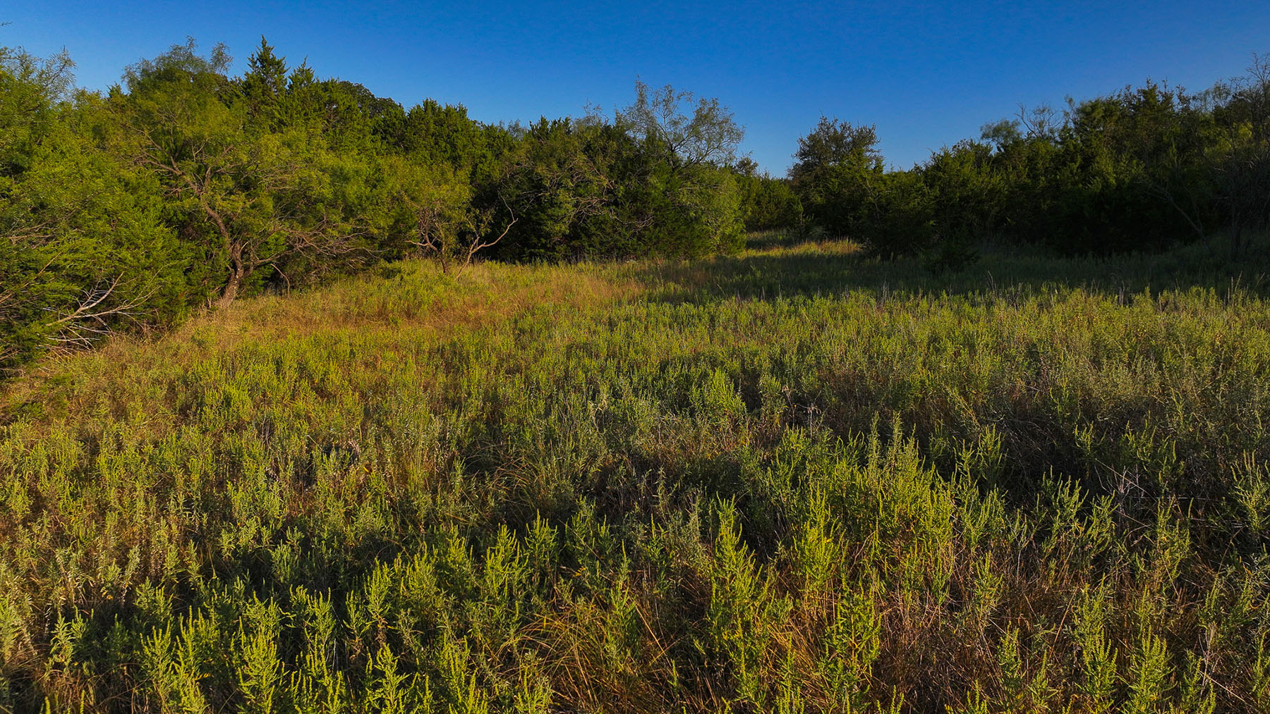 MY Ranch property picture 64 of 91