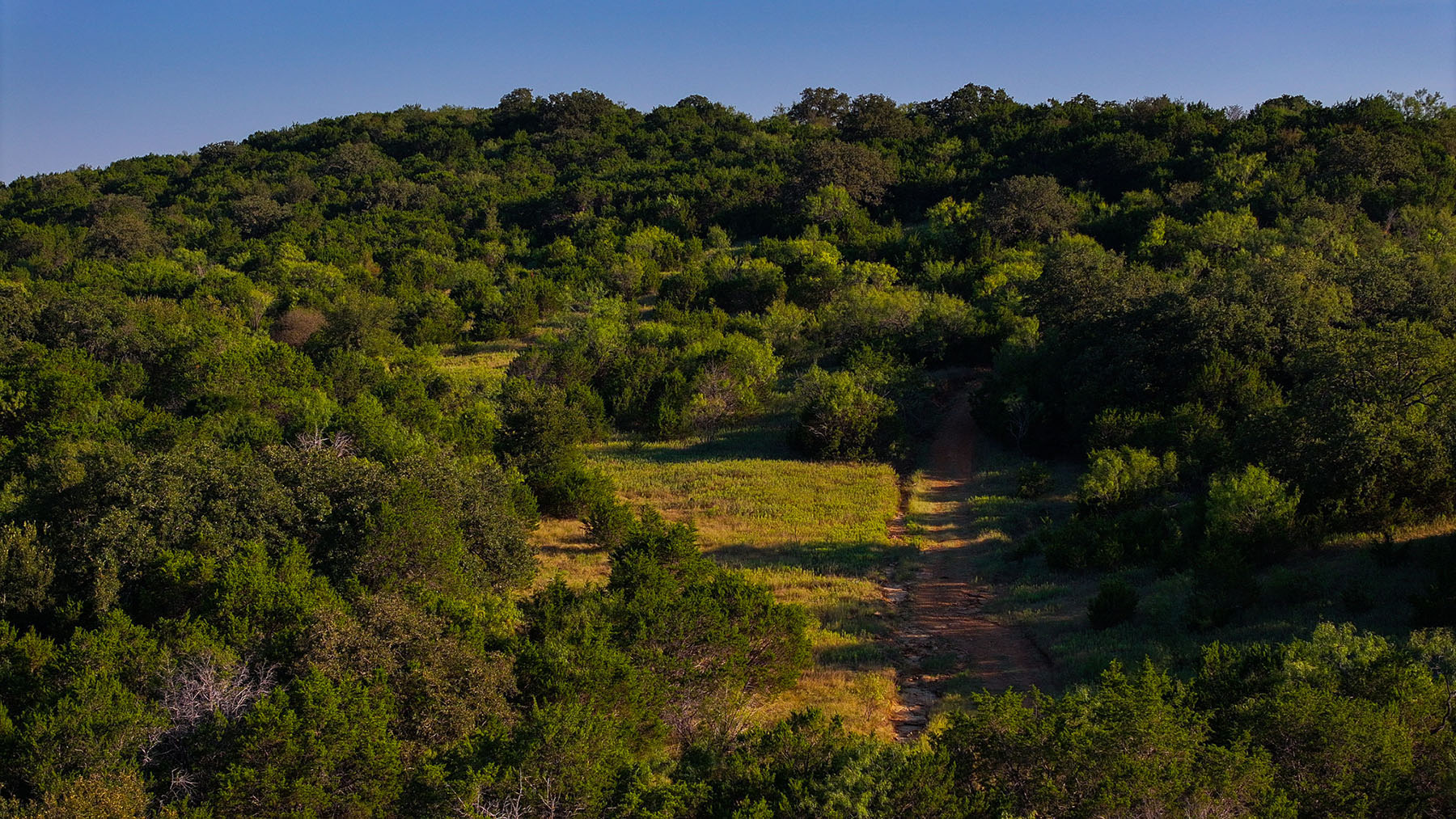 MY Ranch property picture 56 of 91