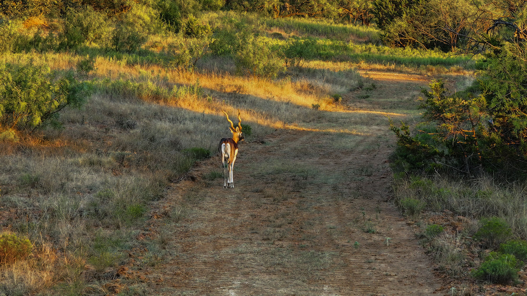MY Ranch property picture 10 of 91