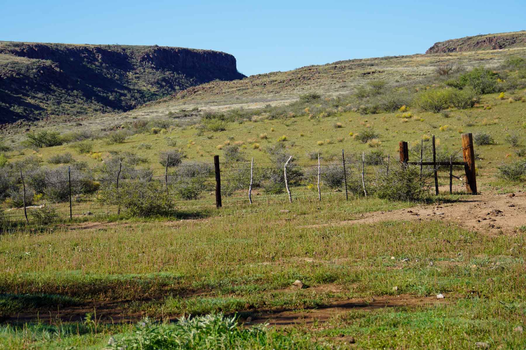 Rigden Ranch property picture 5 of 30