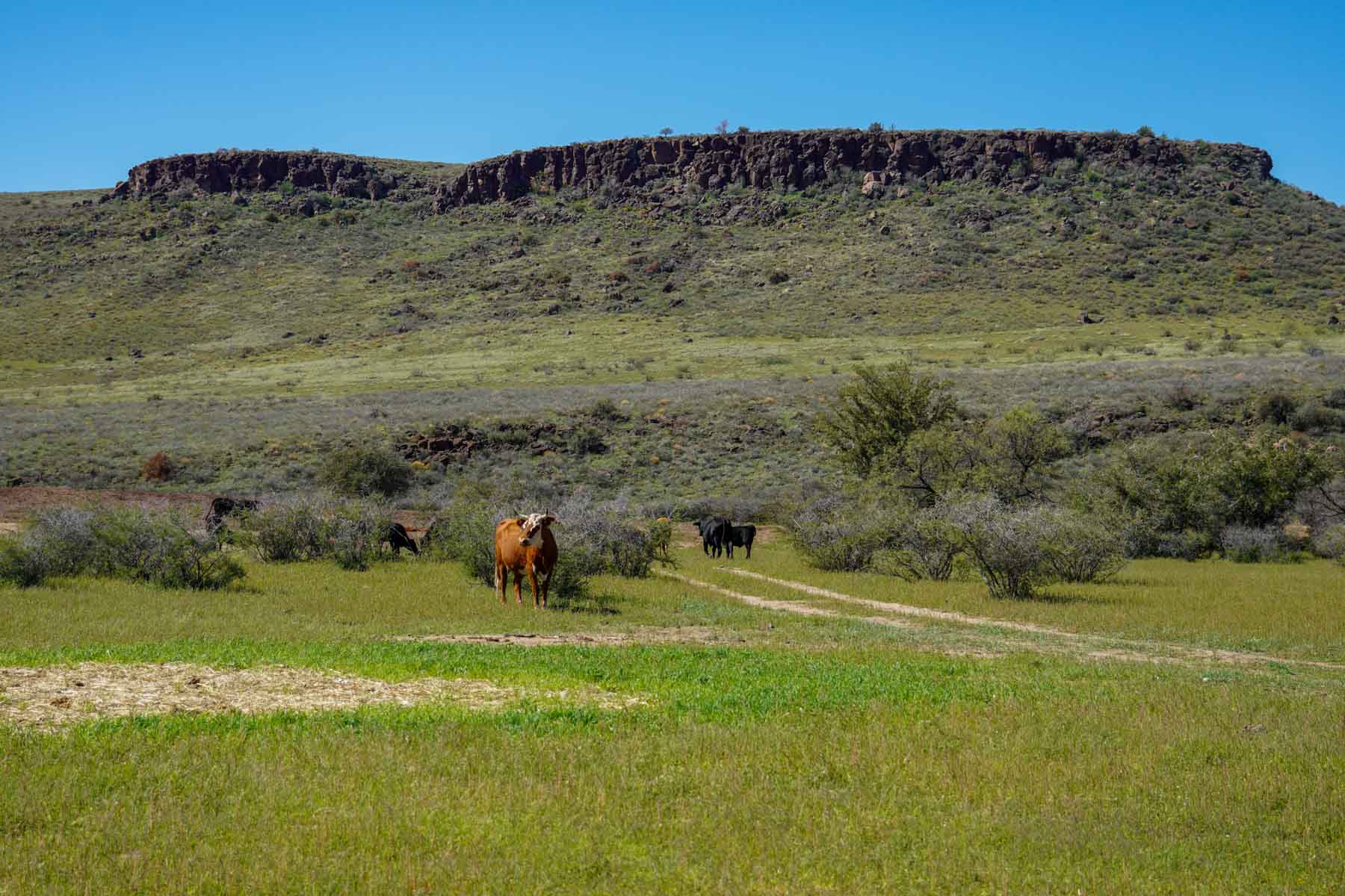 Rigden Ranch property picture 18 of 30