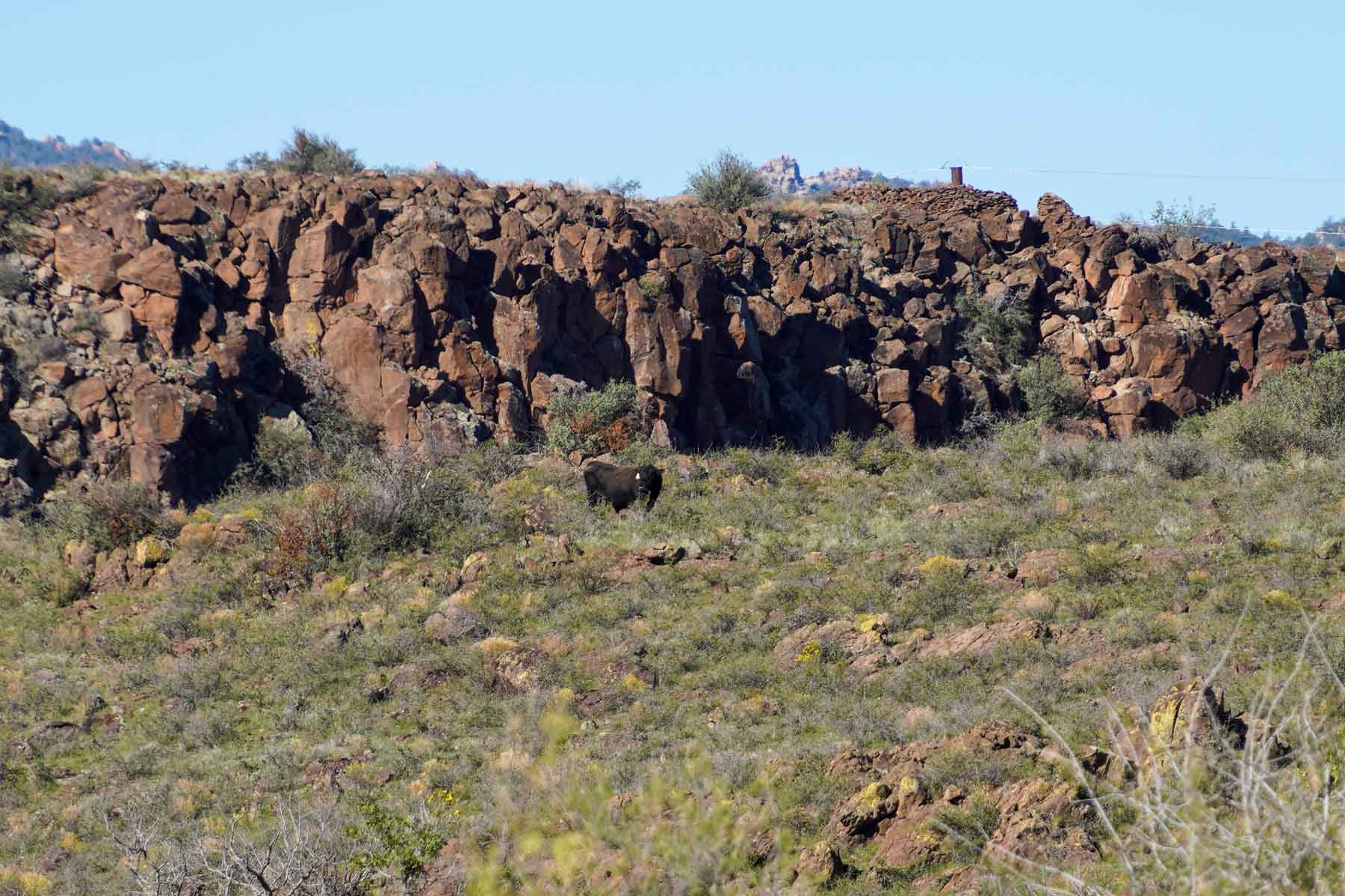 Rigden Ranch property picture 10 of 30