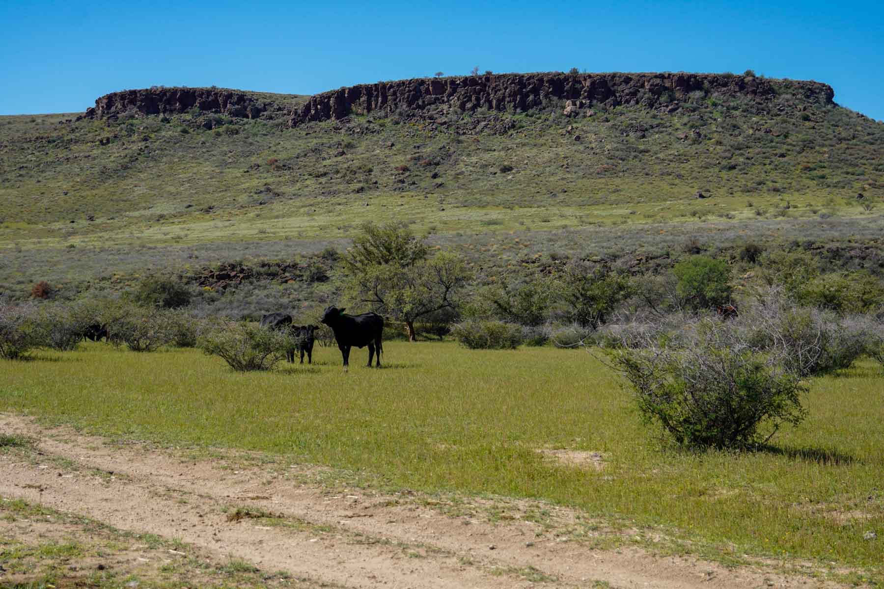 Rigden Ranch property picture 27 of 30