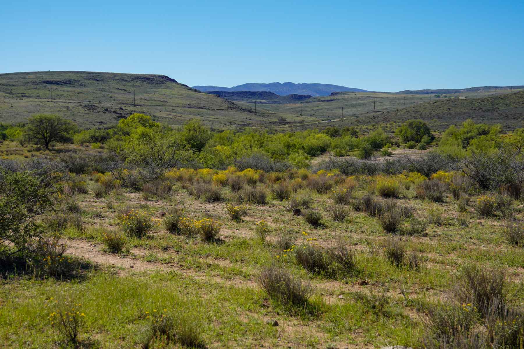 Rigden Ranch property picture 21 of 30