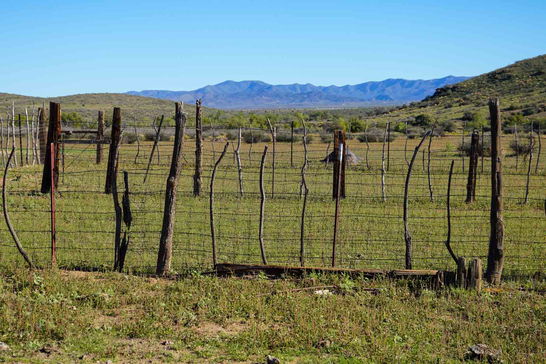 Rigden Ranch property picture 8 of 30