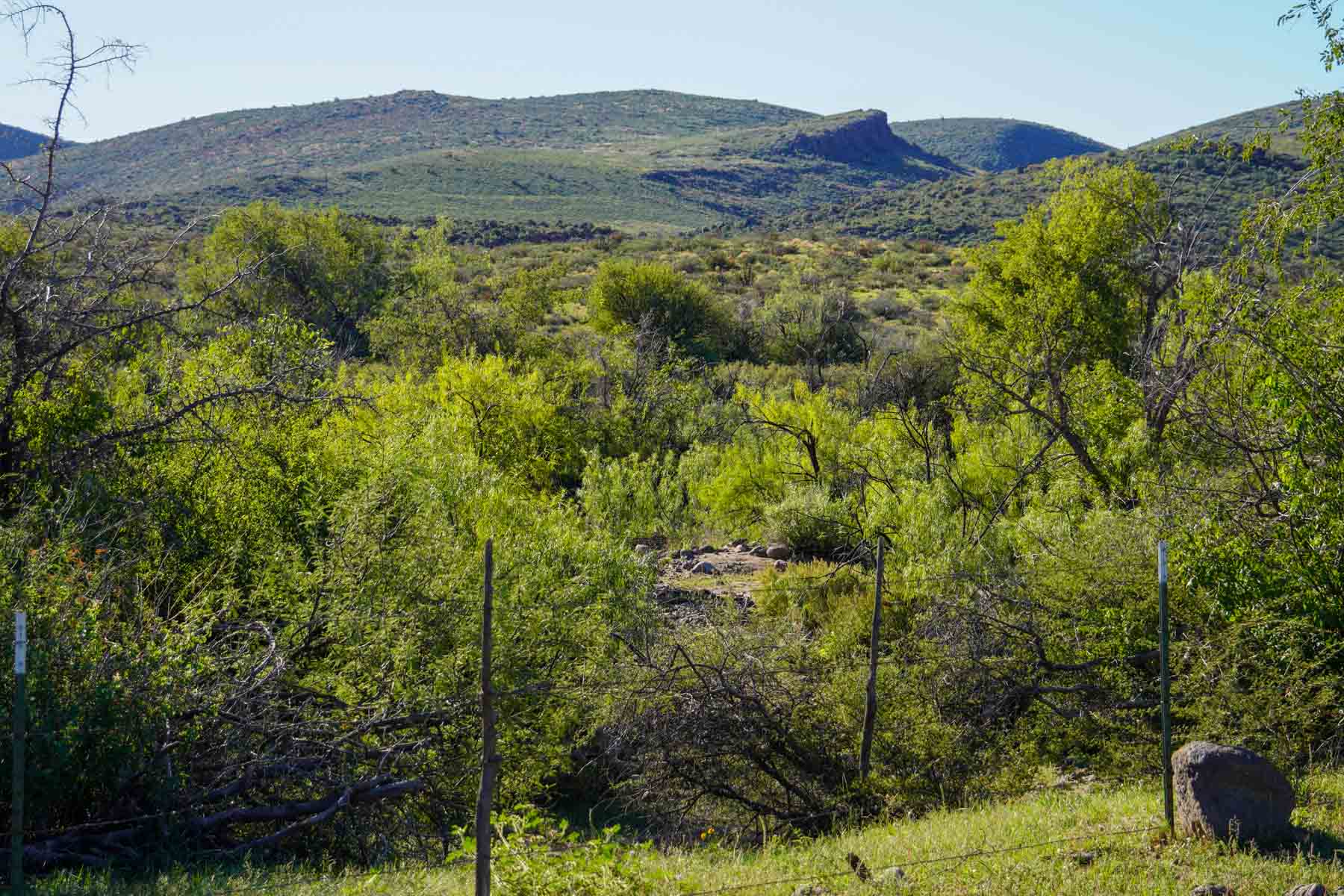Rigden Ranch property picture 2 of 30