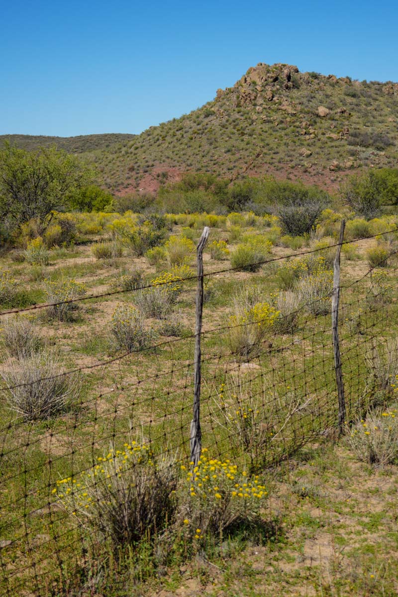 Rigden Ranch property picture 24 of 30