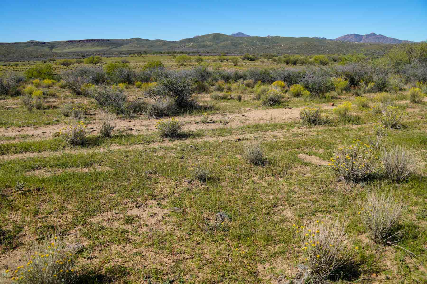 Rigden Ranch property picture 23 of 30