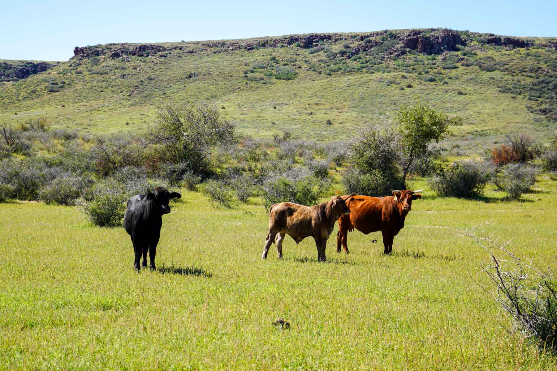 Rigden Ranch property picture 28 of 30