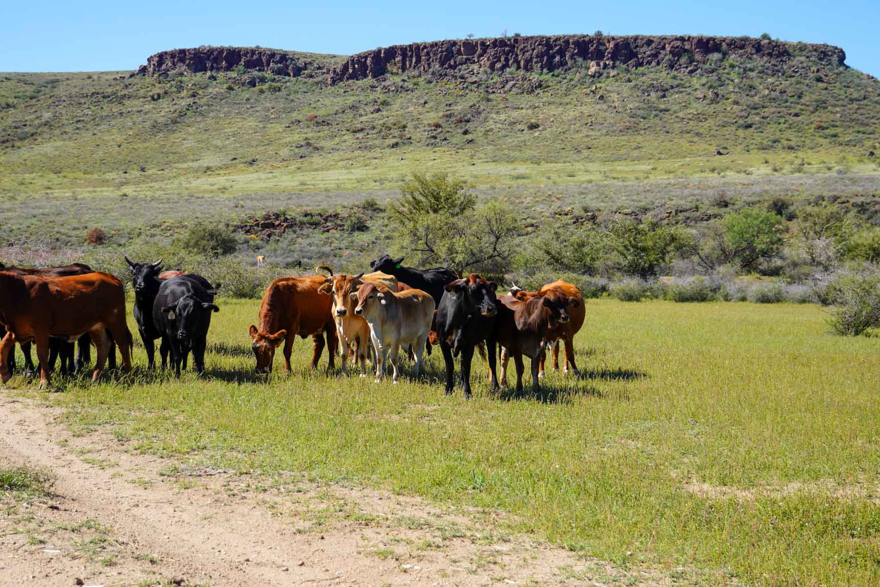 Rigden Ranch property picture 29 of 30