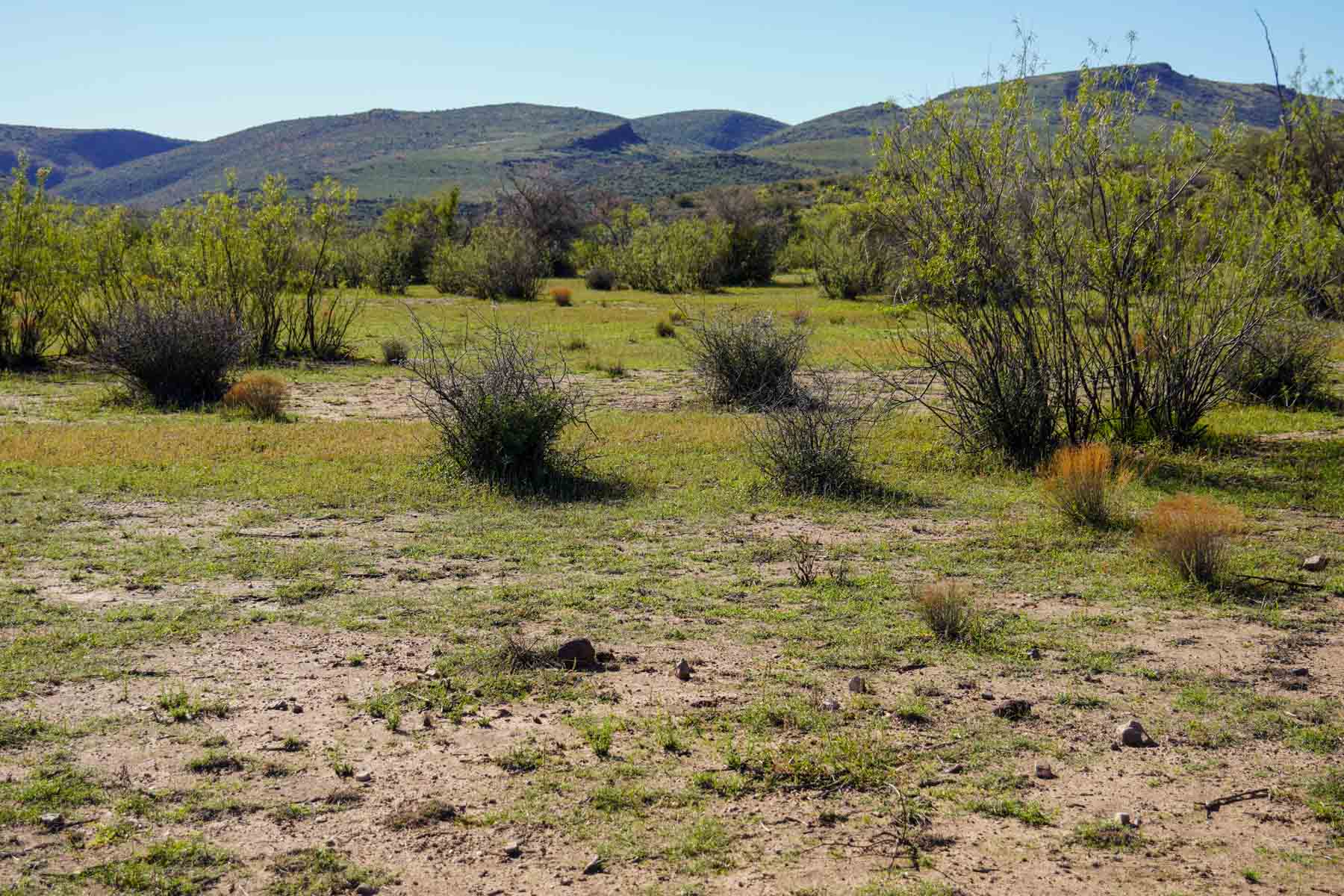 Rigden Ranch property picture 11 of 30