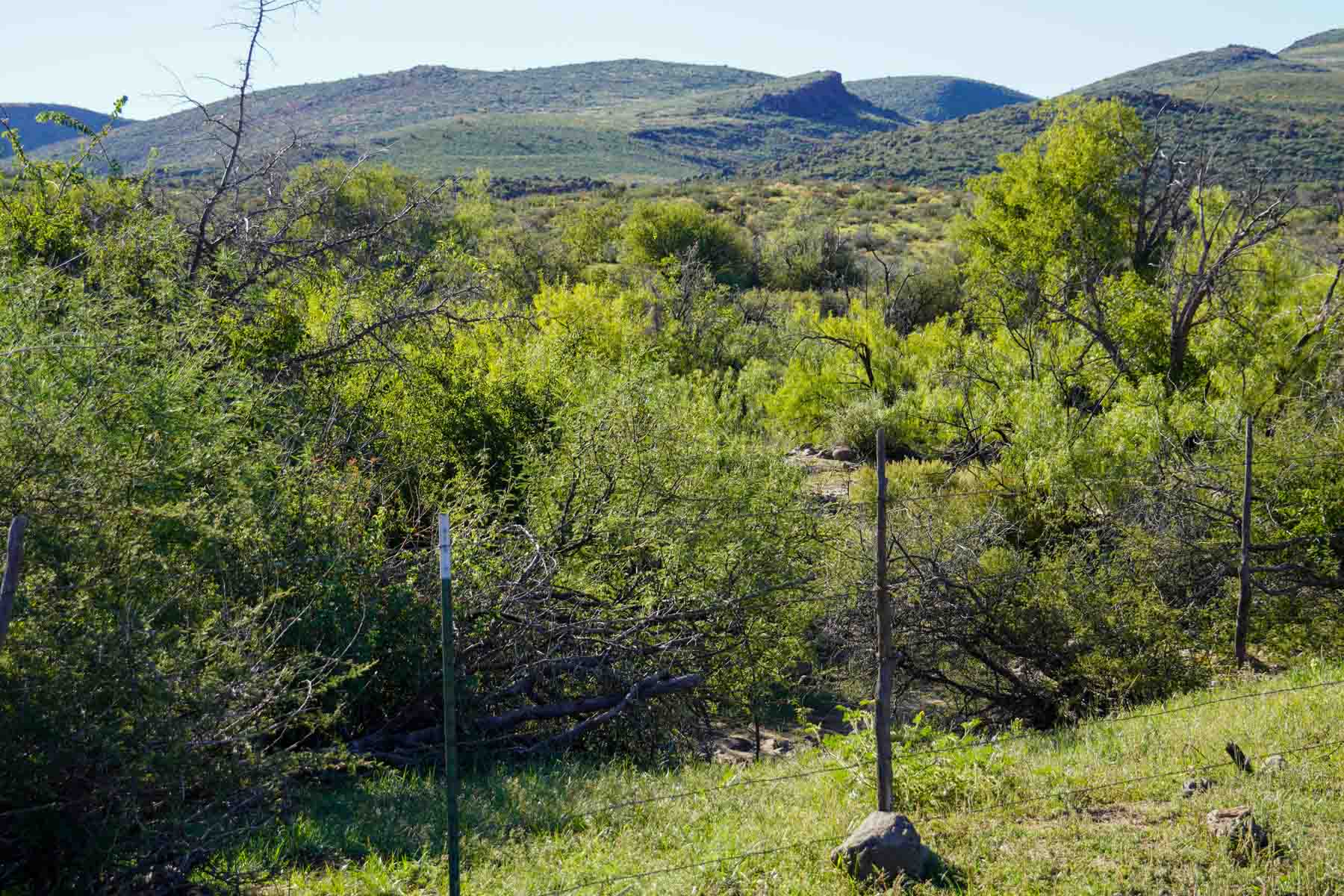 Rigden Ranch property picture 9 of 30
