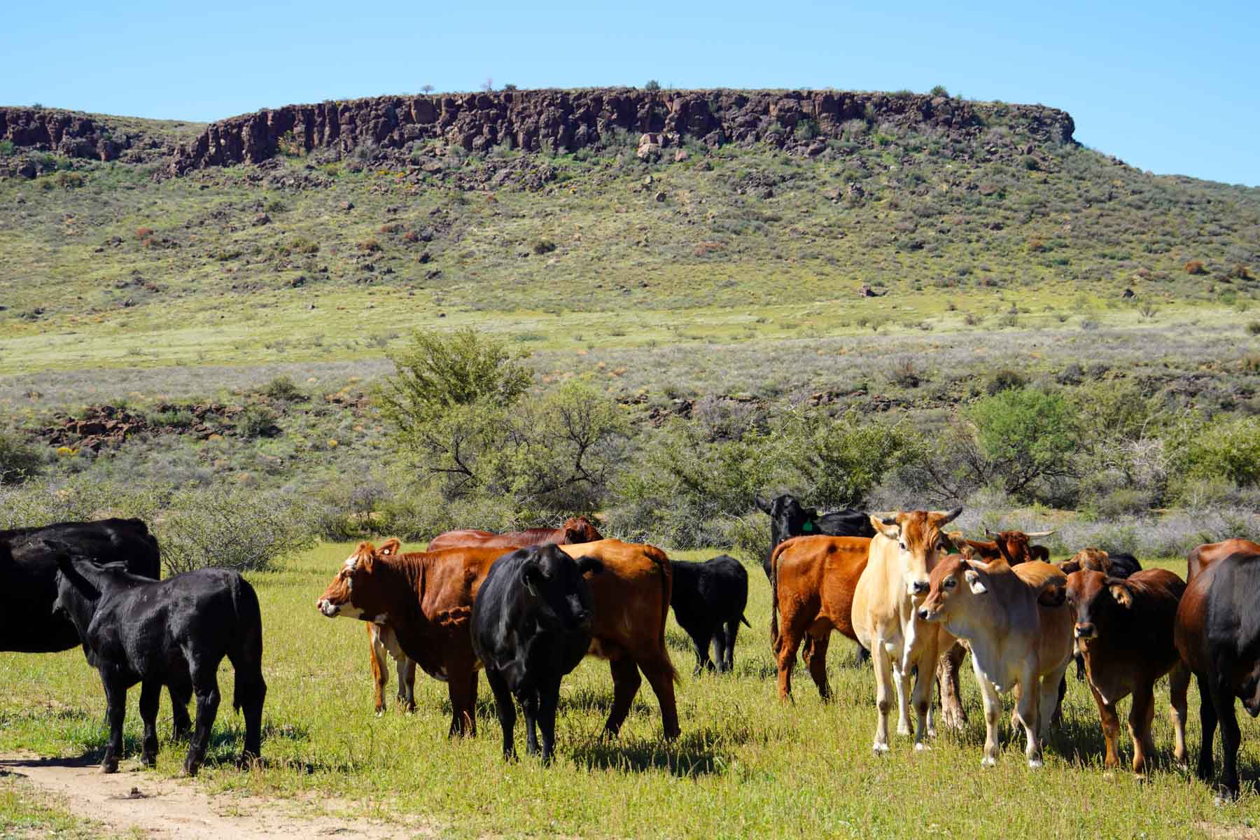 Rigden Ranch property picture 20 of 30