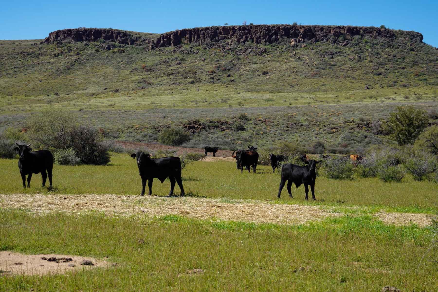 Rigden Ranch property picture 19 of 30