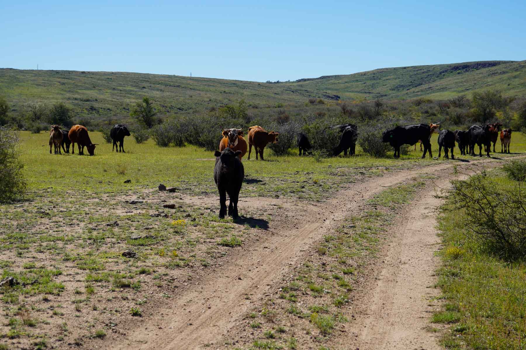 Rigden Ranch property picture 17 of 30