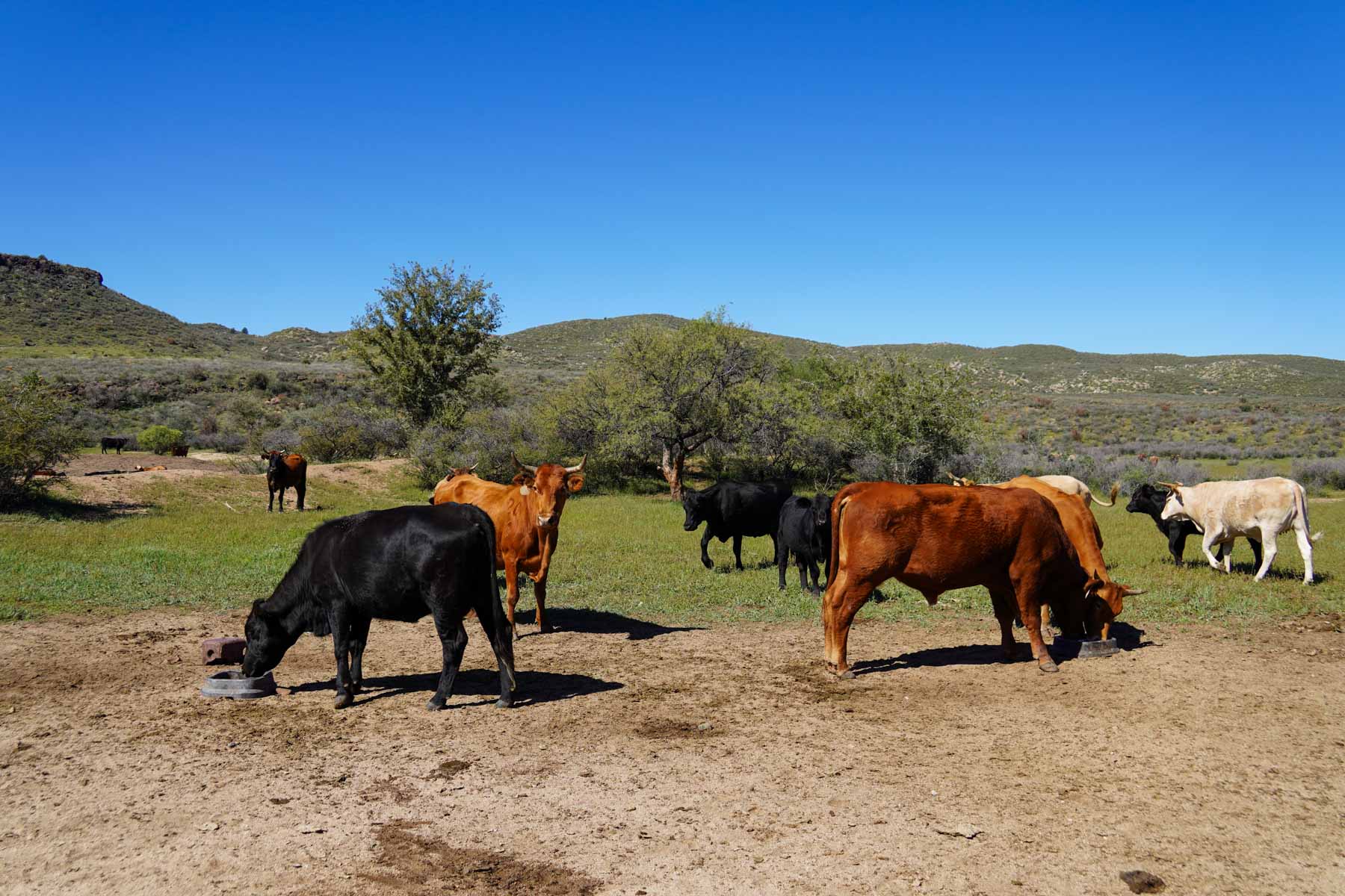 Rigden Ranch property picture 12 of 30