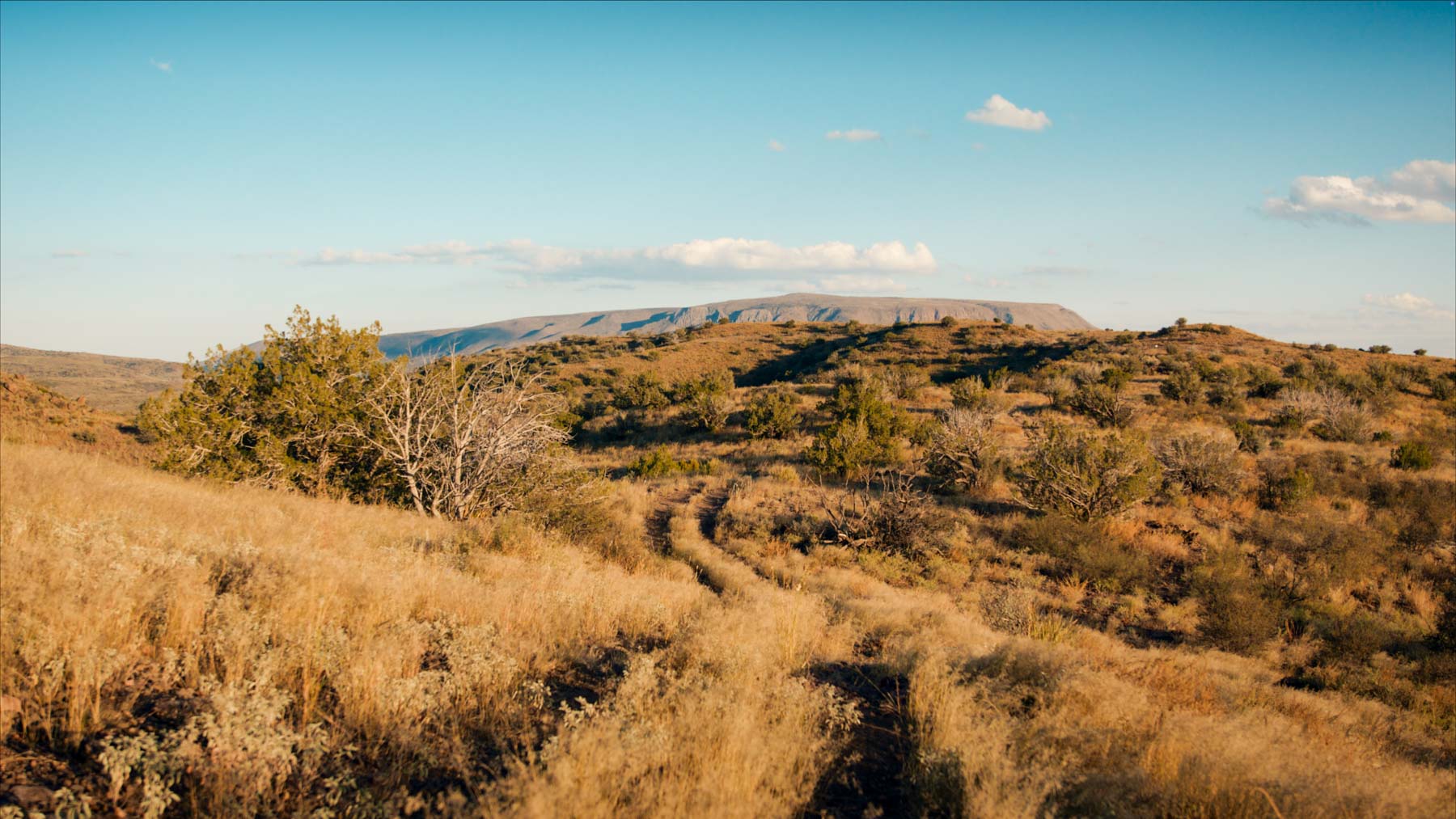 Y Bar O Ranch property picture 96 of 98