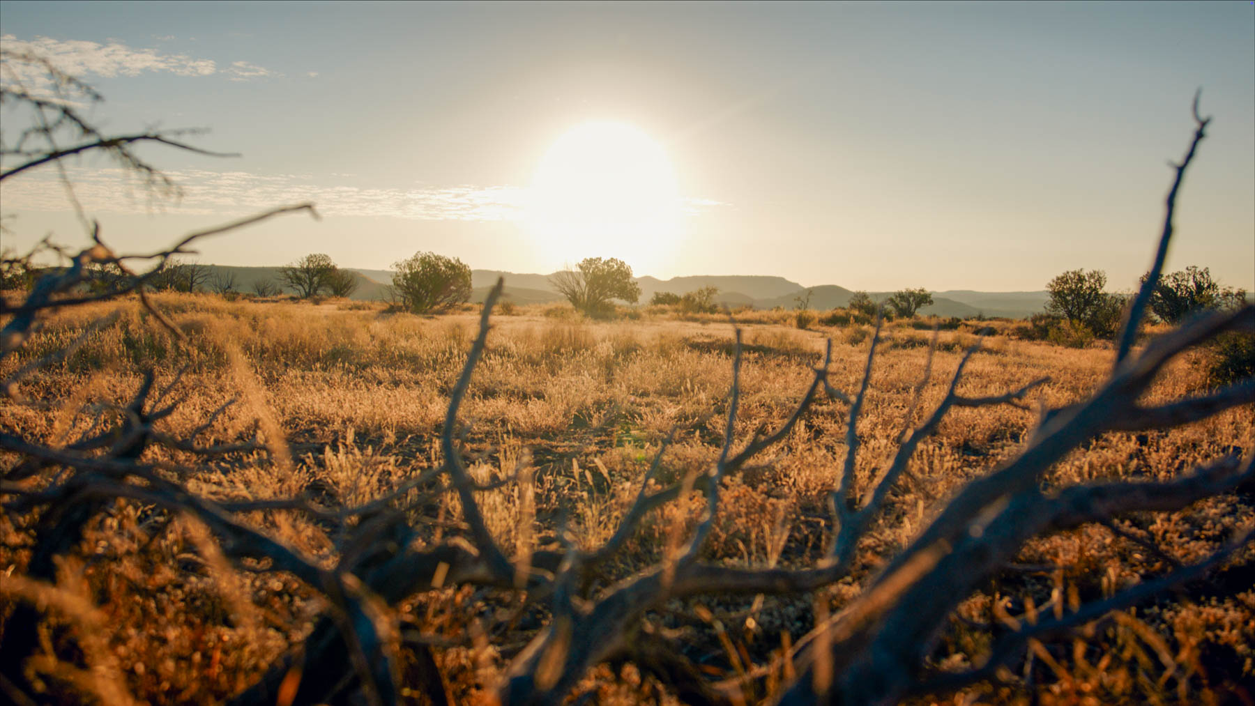 Y Bar O Ranch property picture 71 of 98