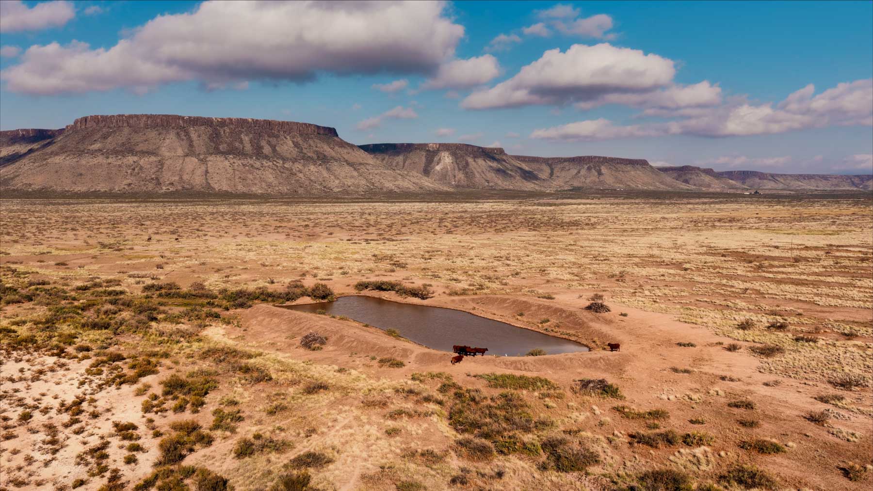 Y Bar O Ranch property picture 51 of 98