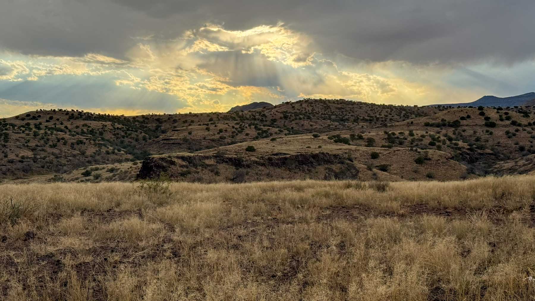 Y Bar O Ranch property picture 25 of 98