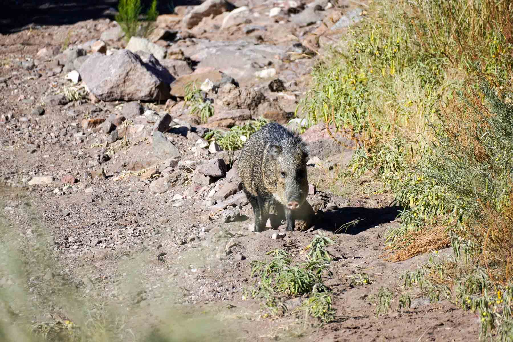 Y Bar O Ranch property picture 14 of 98