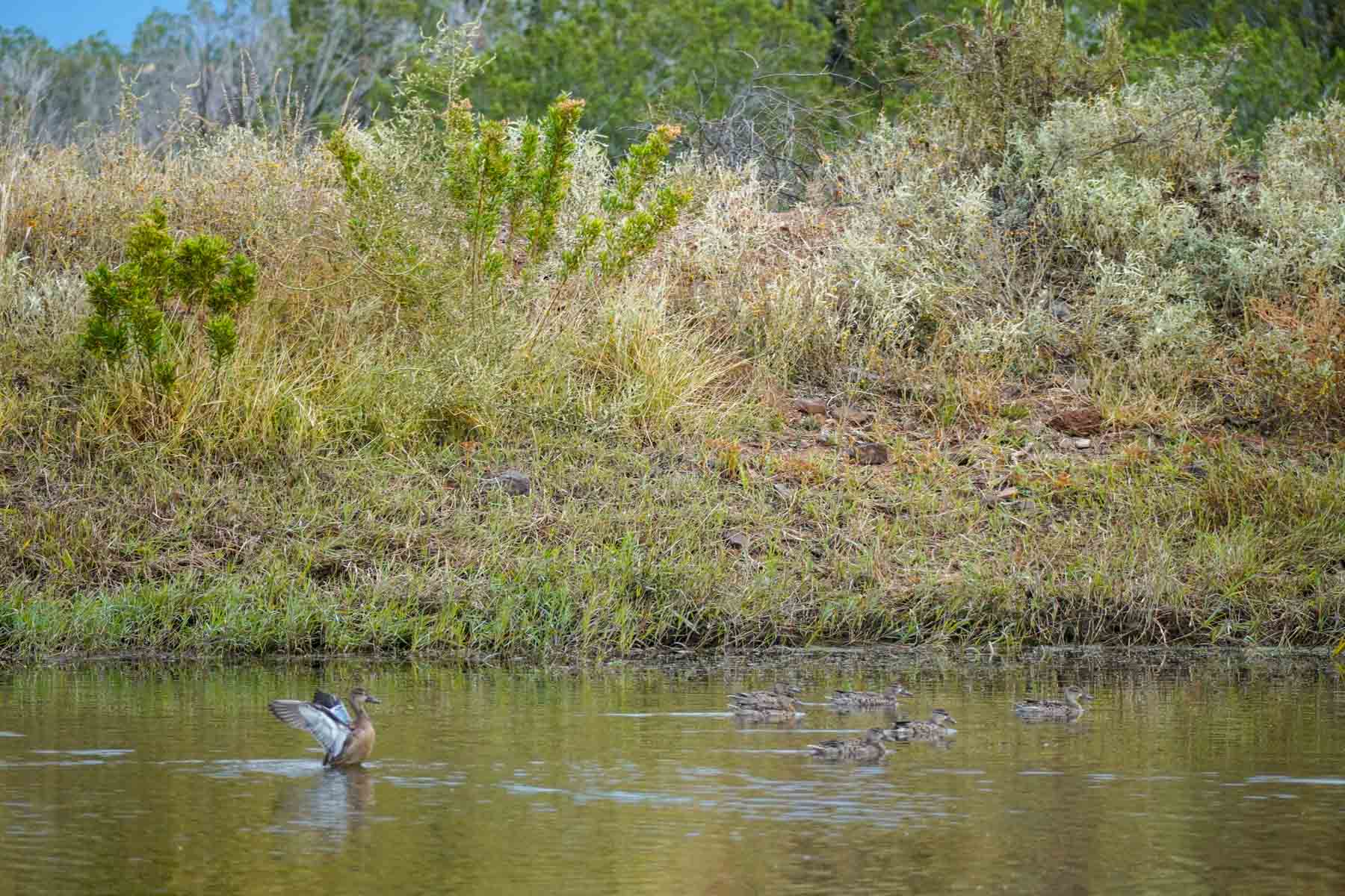 Y Bar O Ranch property picture 11 of 98