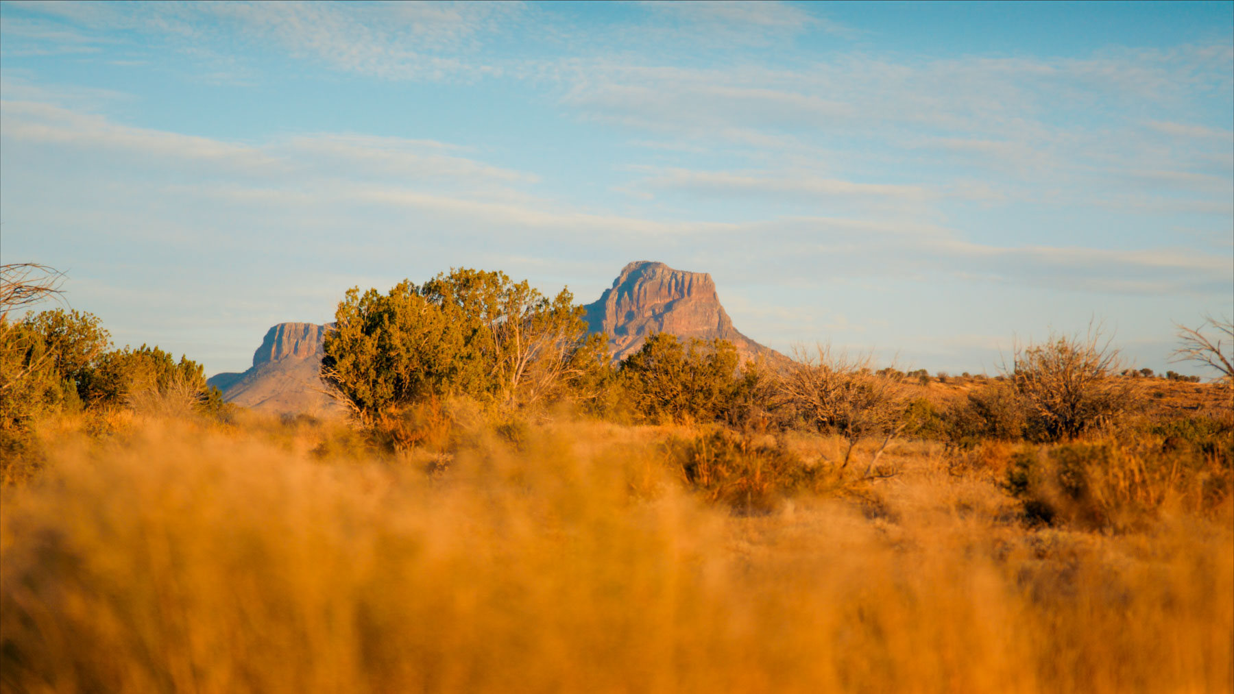 Y Bar O Ranch property picture 37 of 98