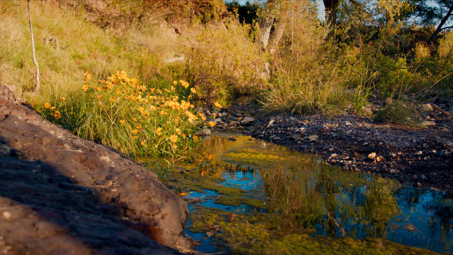 Y Bar O Ranch property picture 83 of 98