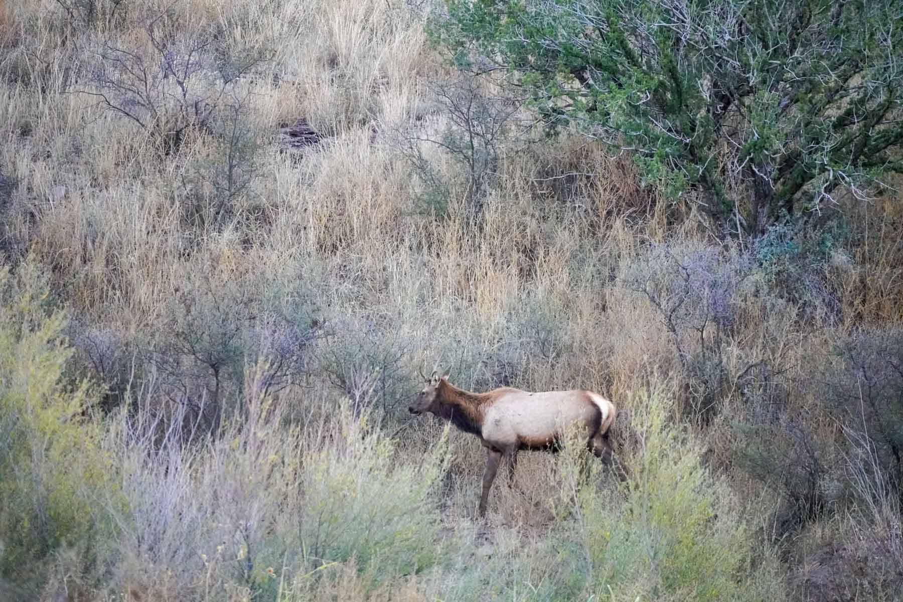 Y Bar O Ranch property picture 16 of 98