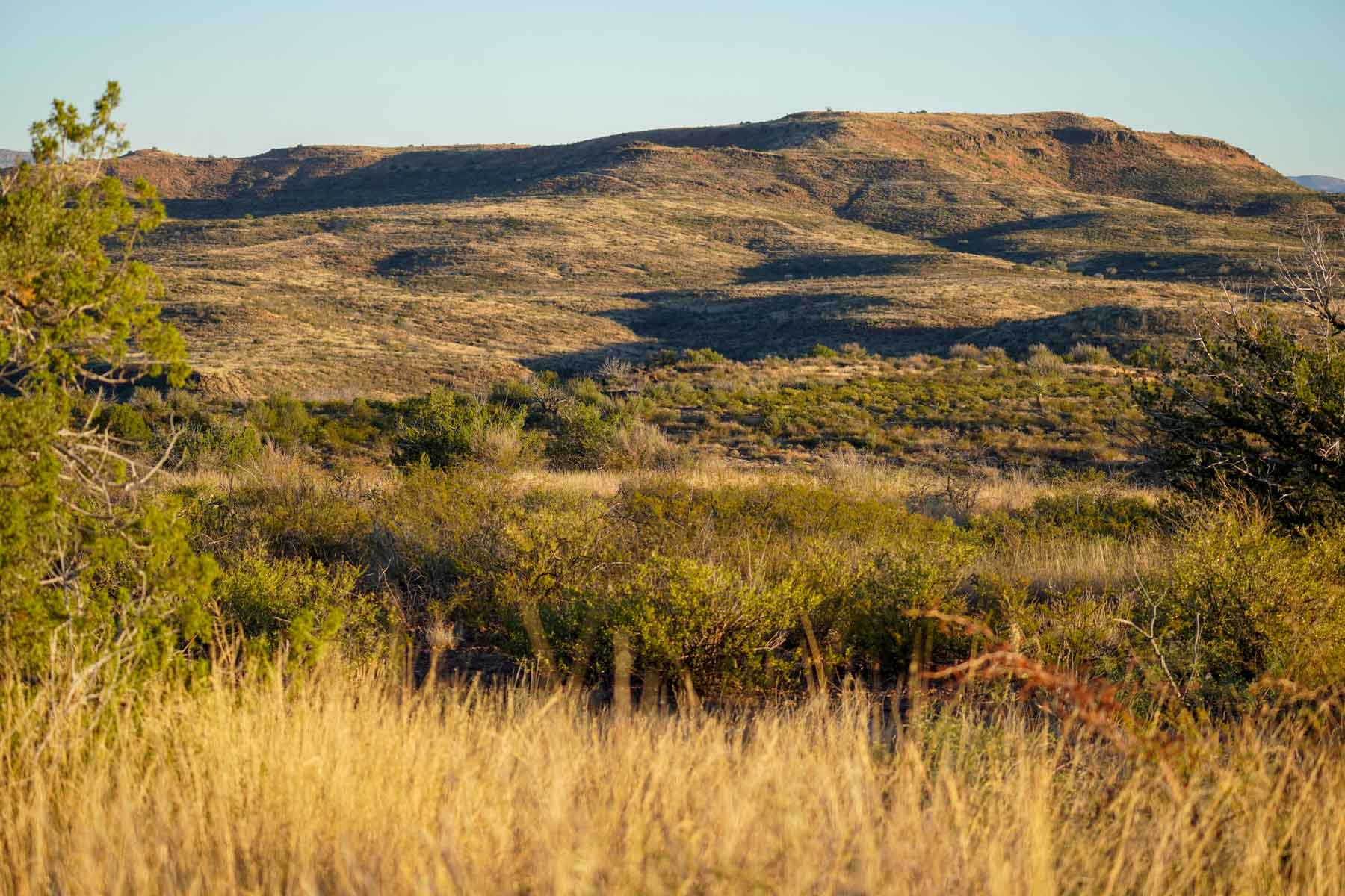 Y Bar O Ranch property picture 13 of 98