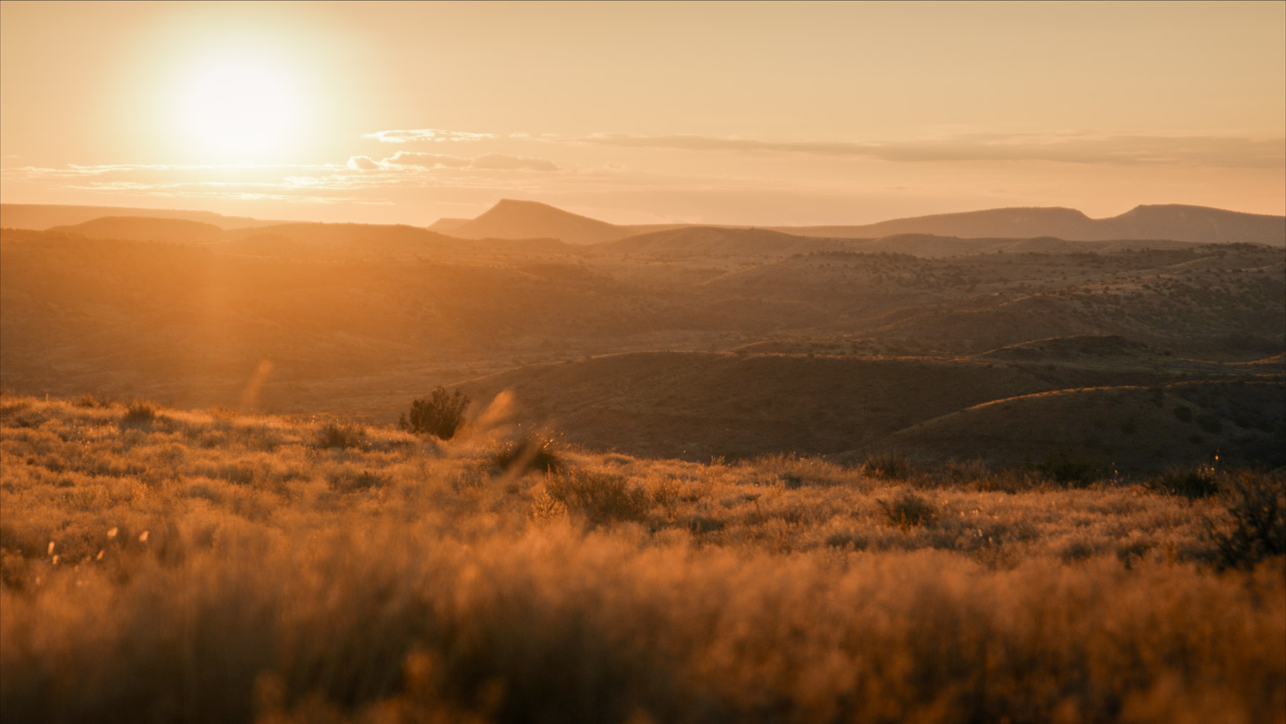 Y Bar O Ranch property picture 97 of 98