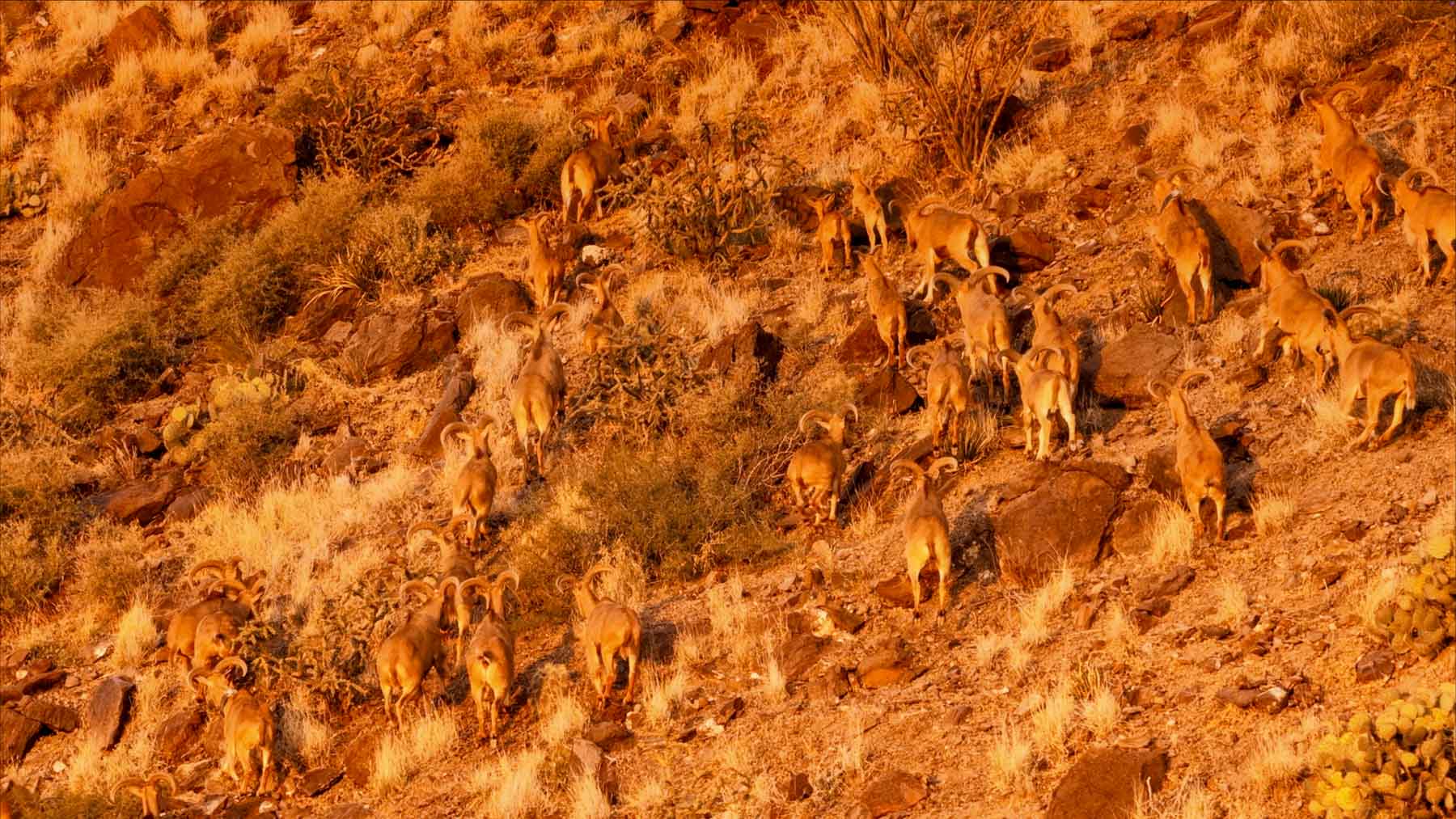 Y Bar O Ranch property picture 75 of 98