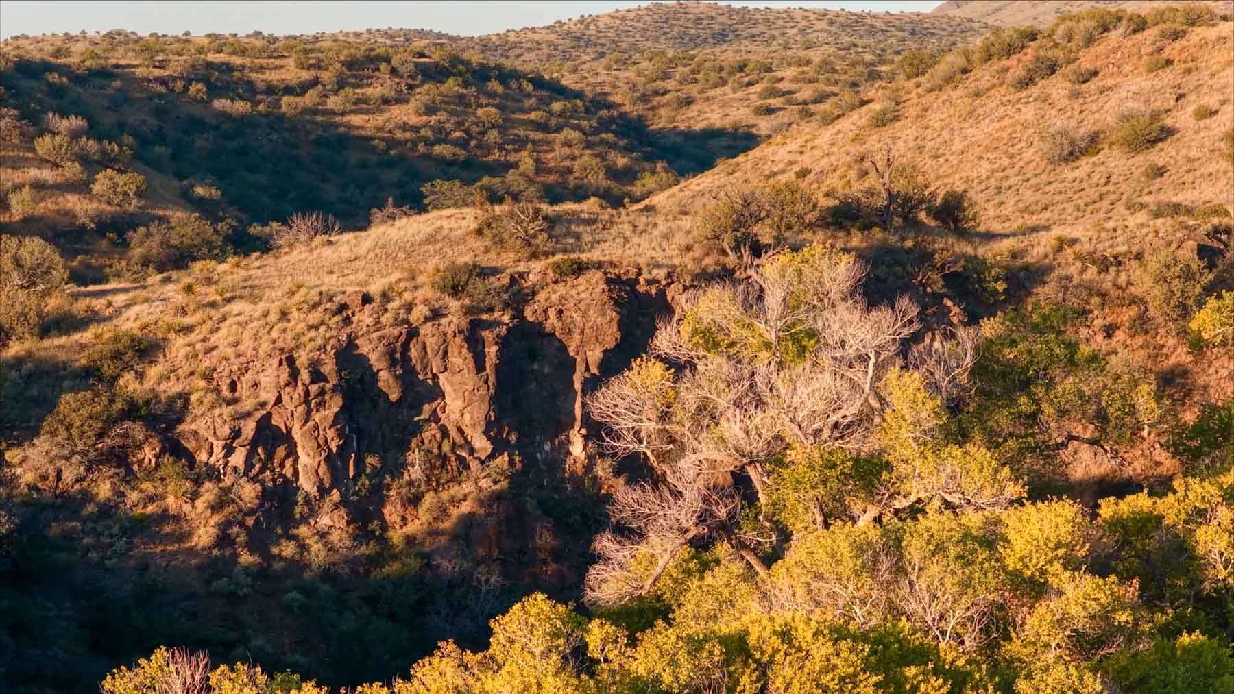 Y Bar O Ranch property picture 94 of 98