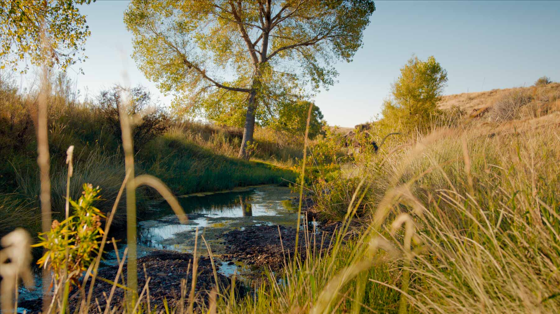 Y Bar O Ranch property picture 39 of 98