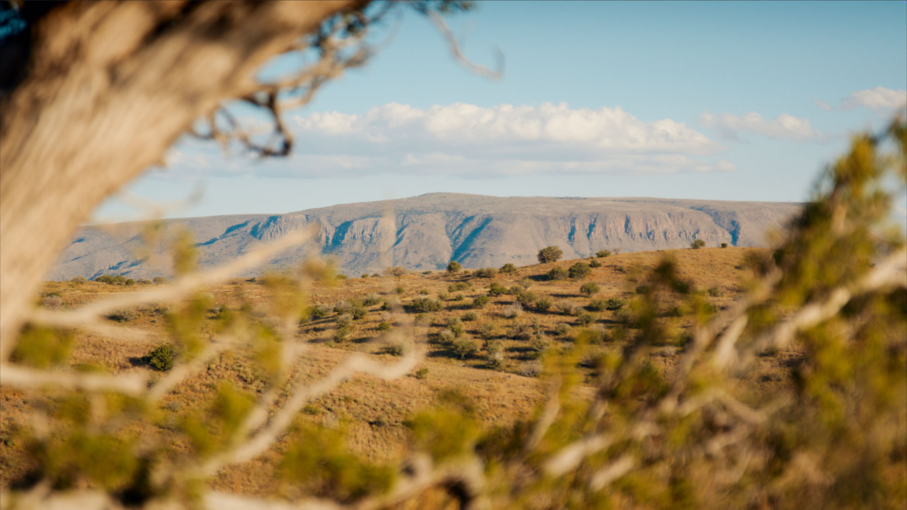Y Bar O Ranch property picture 95 of 98