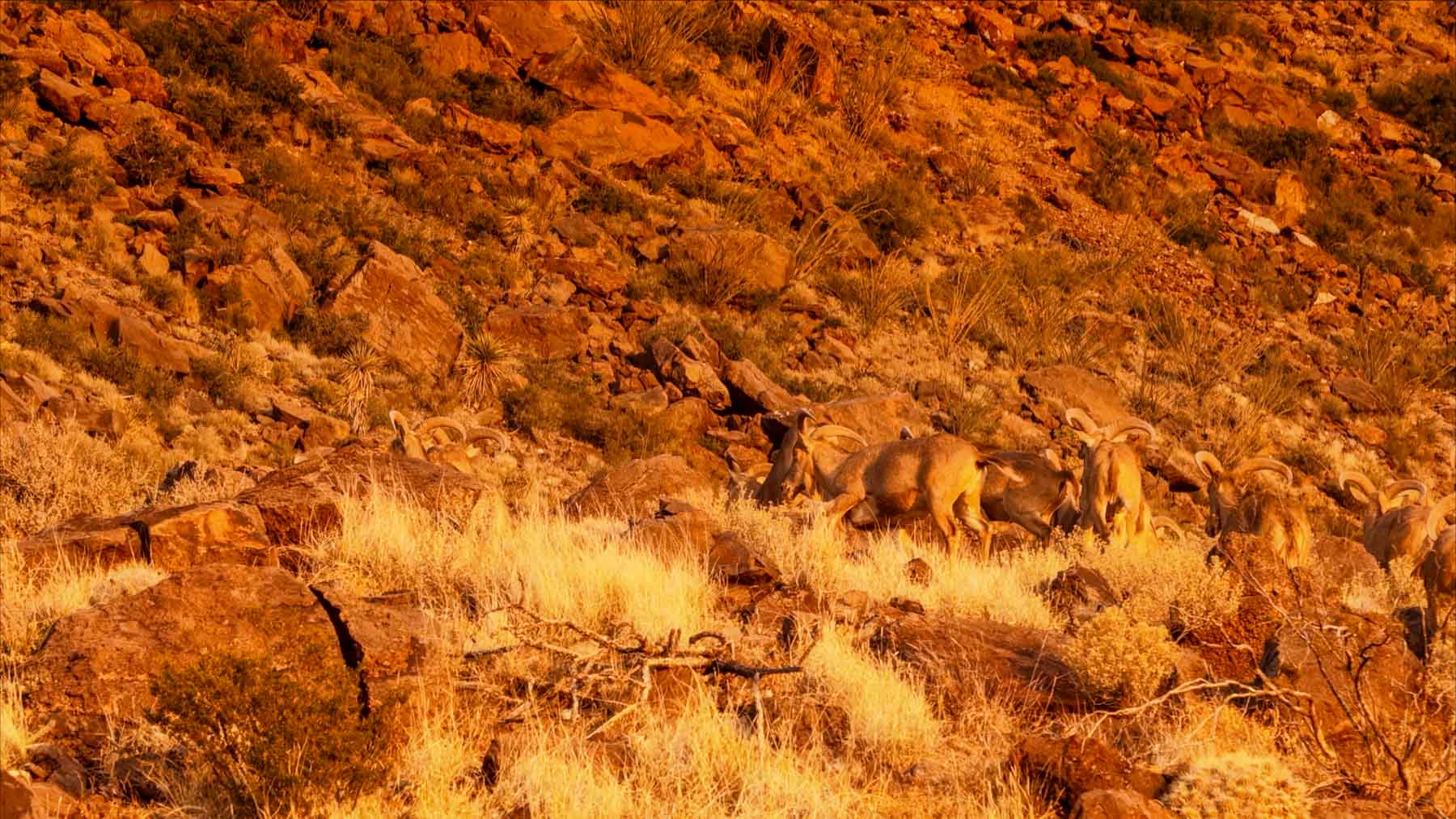 Y Bar O Ranch property picture 74 of 98