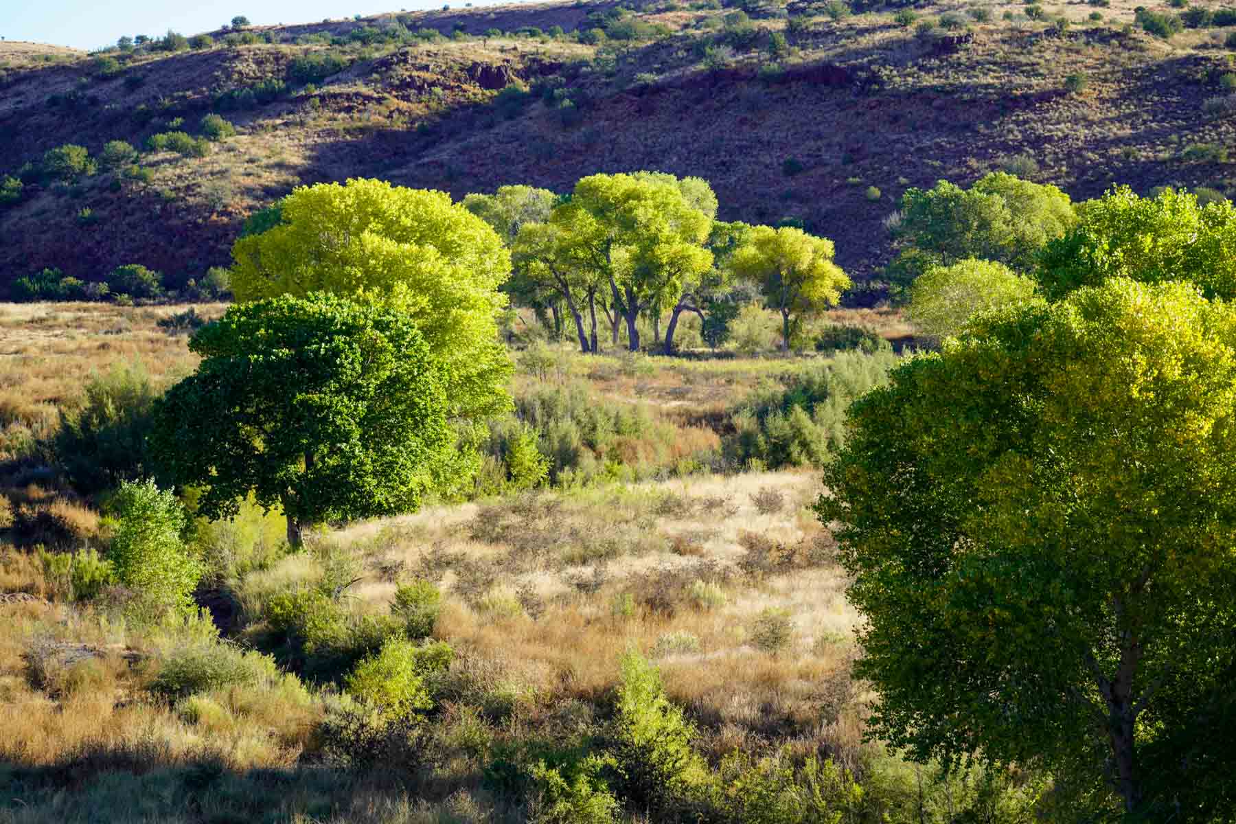Y Bar O Ranch property picture 21 of 98