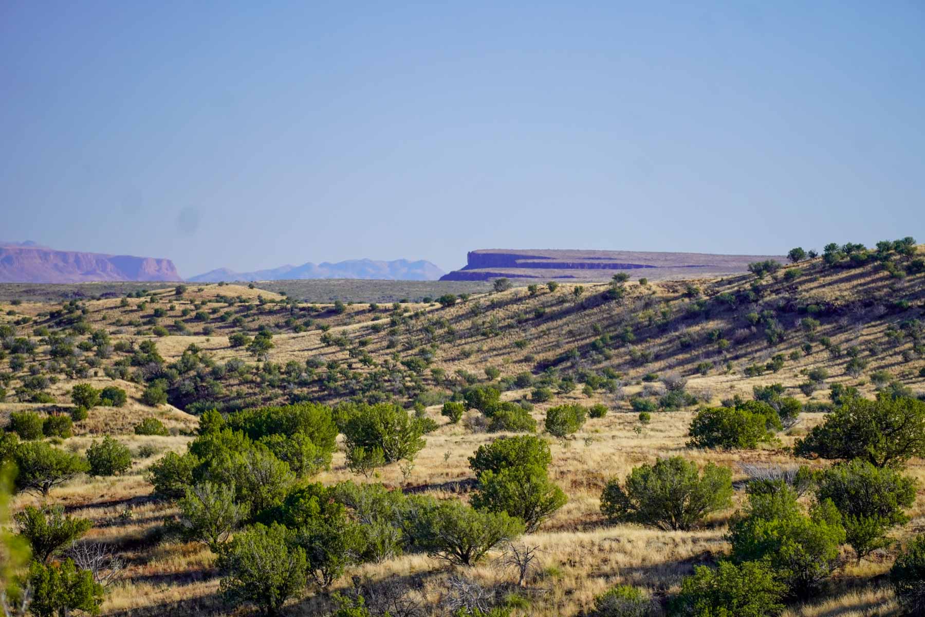 Y Bar O Ranch property picture 15 of 98