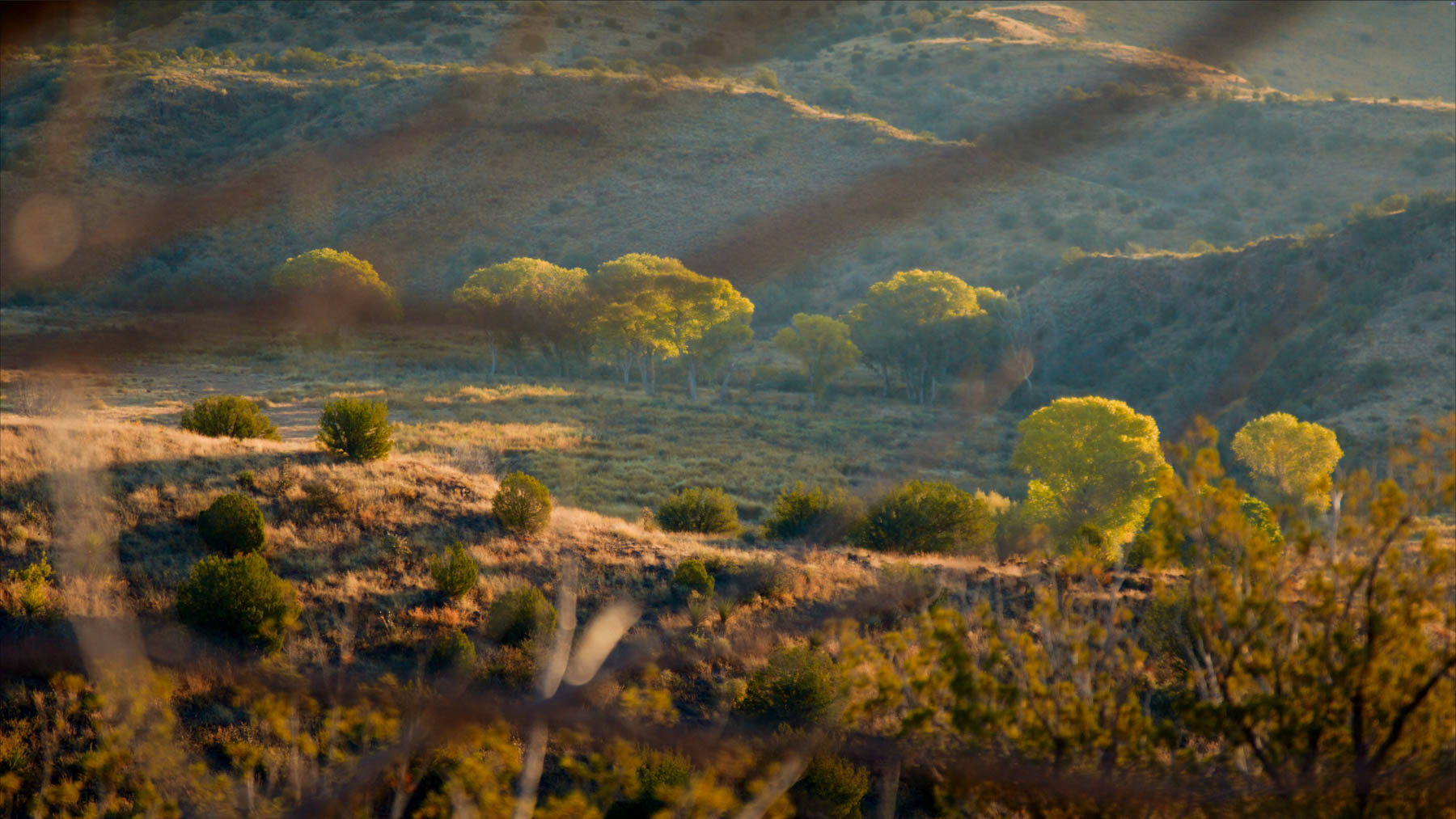 Y Bar O Ranch property picture 72 of 98