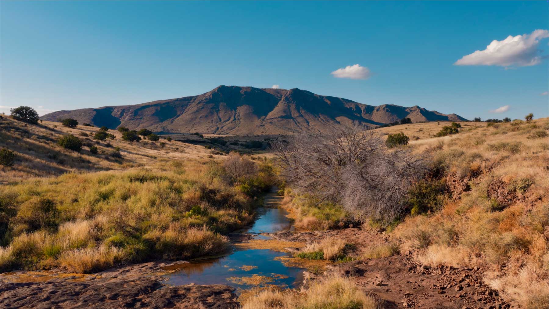Y Bar O Ranch property picture 79 of 98