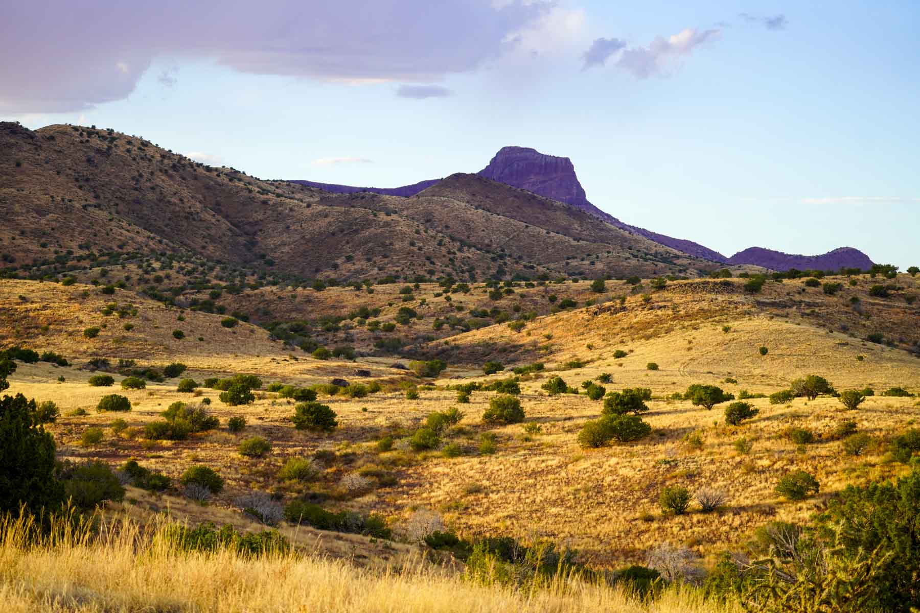 Y Bar O Ranch property picture 12 of 98