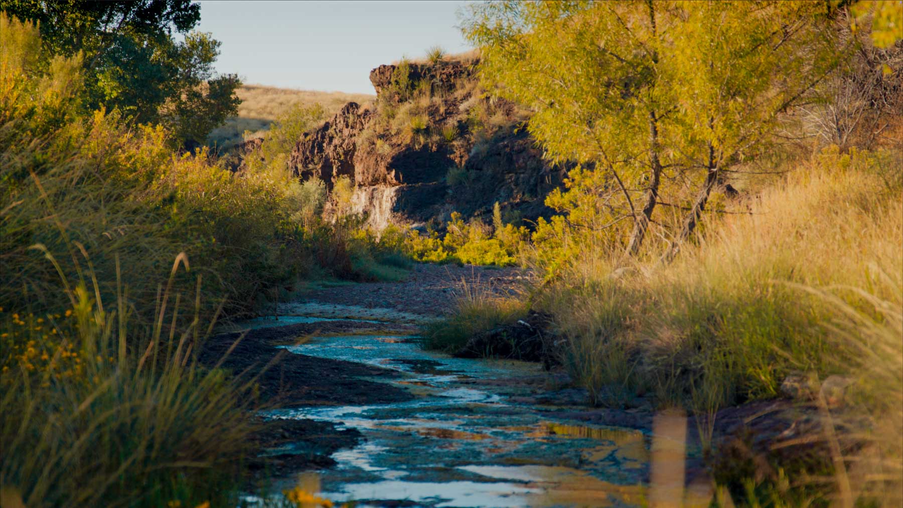 Y Bar O Ranch property picture 82 of 98