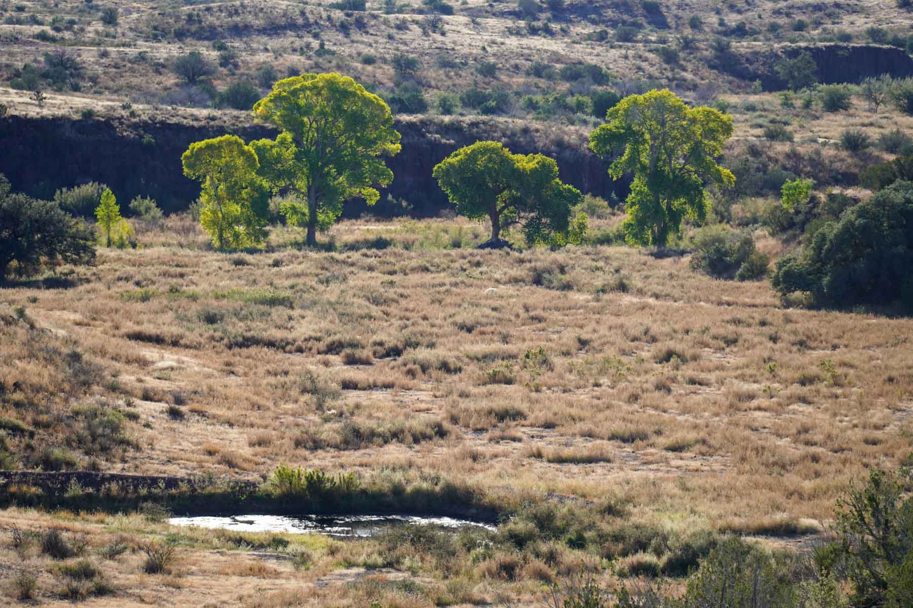 Y Bar O Ranch property picture 20 of 98