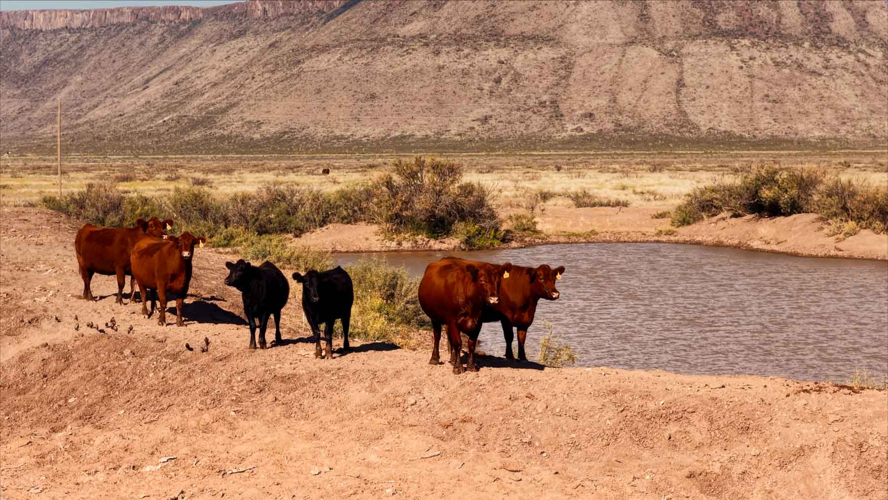 Y Bar O Ranch property picture 49 of 98