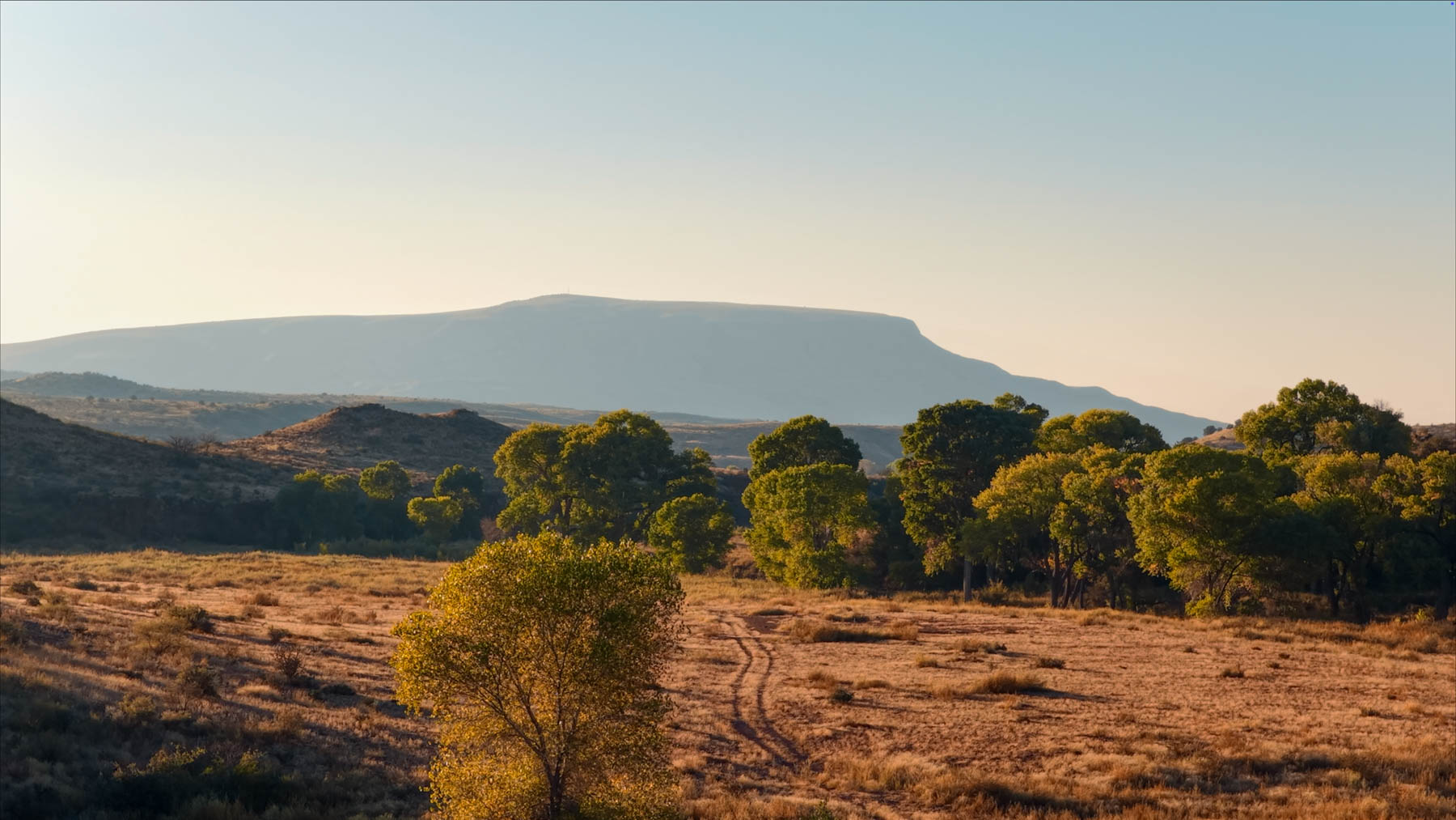 Y Bar O Ranch property picture 70 of 98
