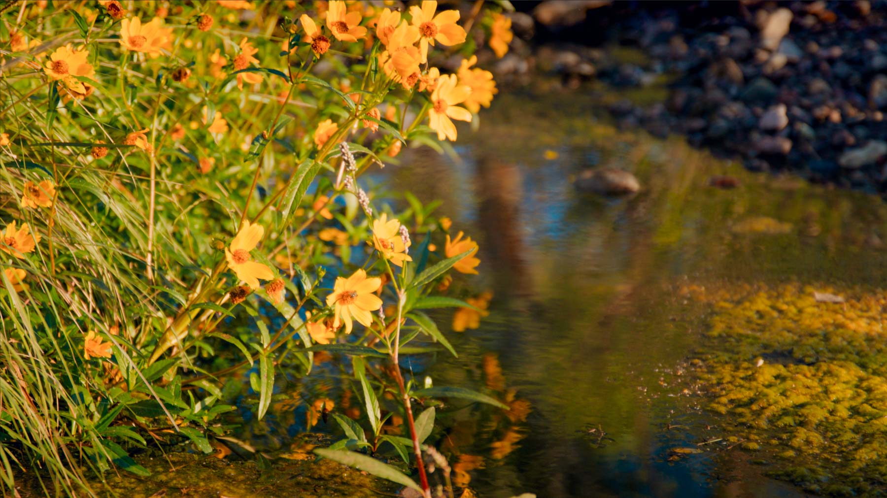 Y Bar O Ranch property picture 35 of 98