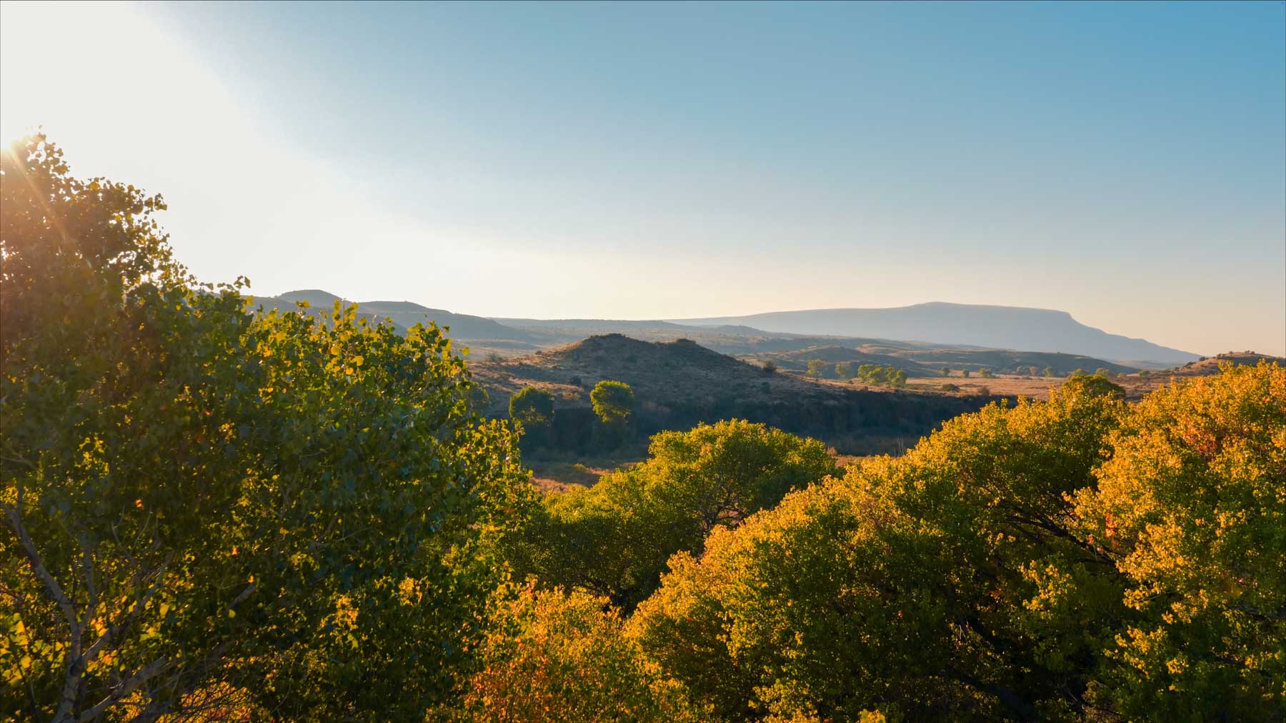 Y Bar O Ranch property picture 69 of 98