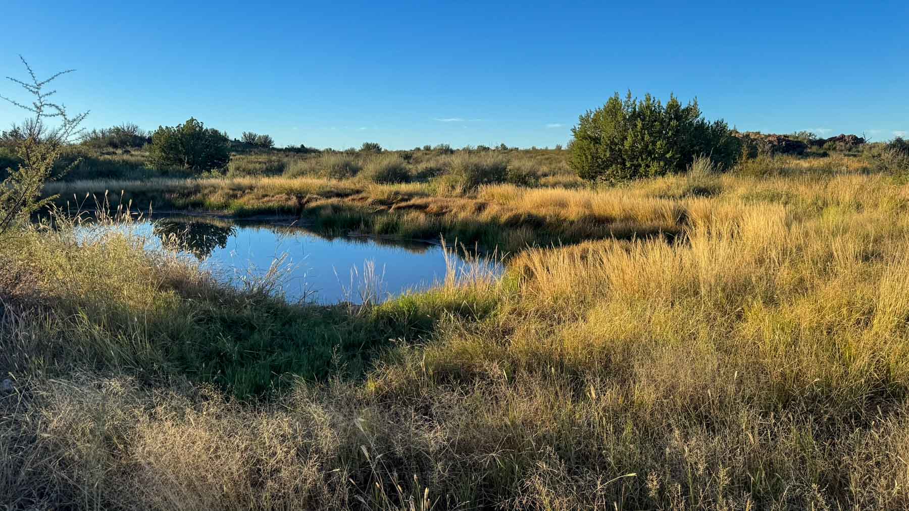 Y Bar O Ranch property picture 29 of 98