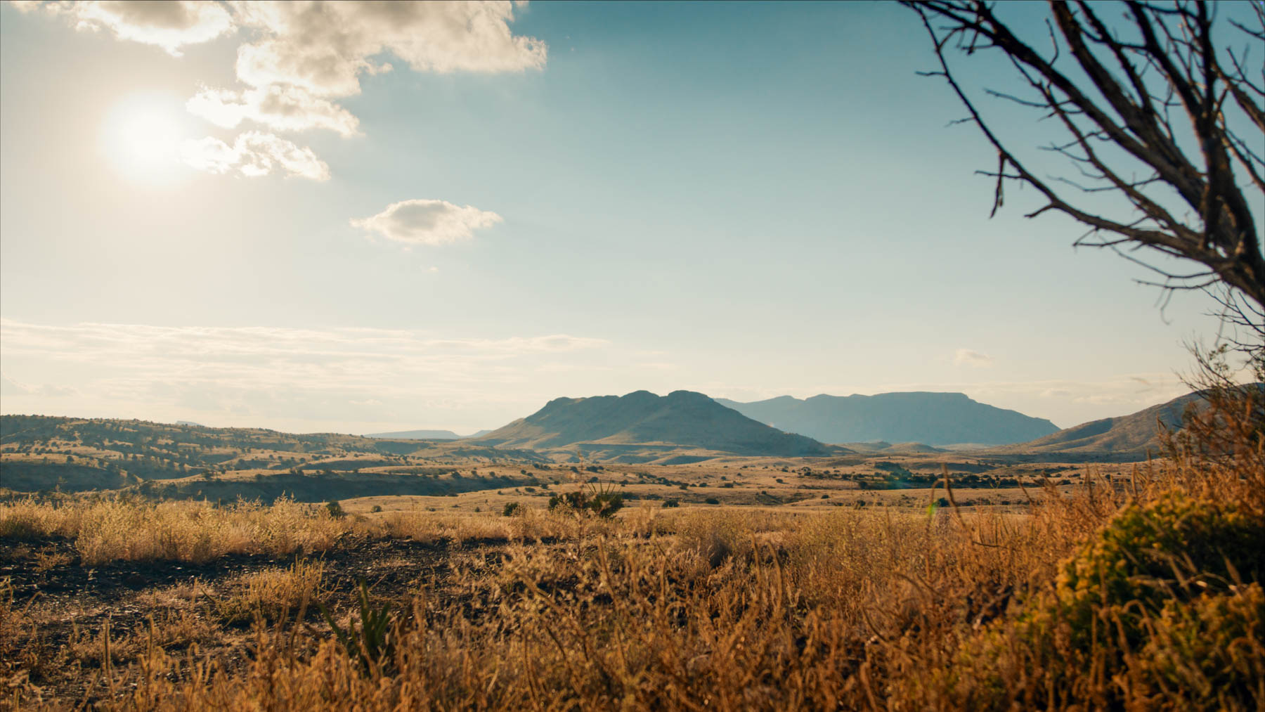 Y Bar O Ranch property picture 2 of 98