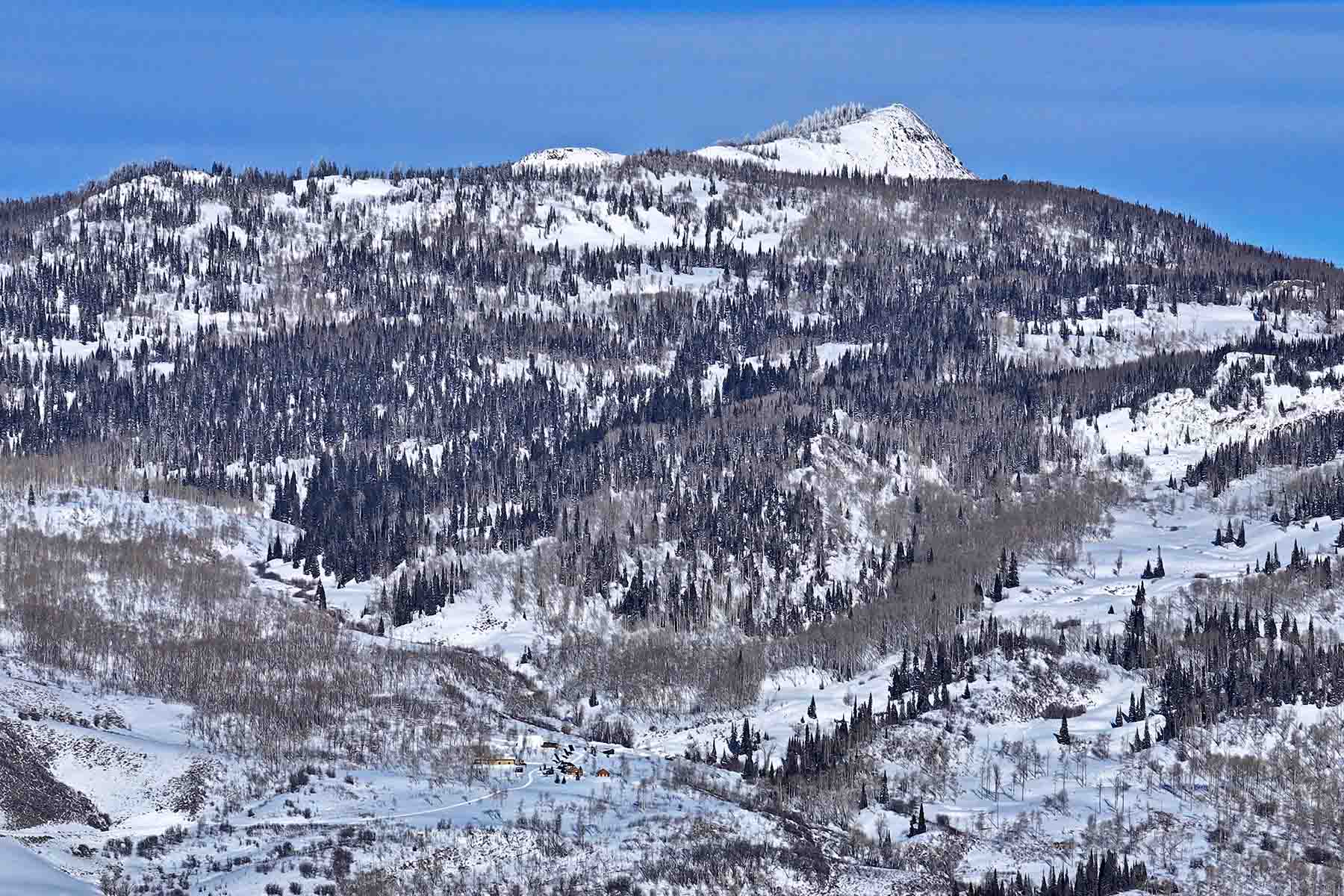 Colorado Haven property picture 7 of 97